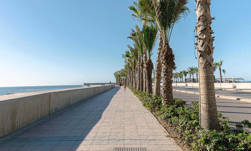 COVER-4